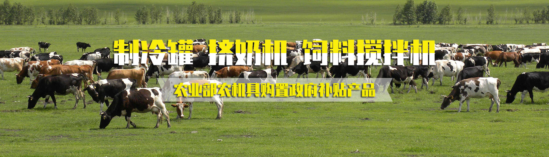 抖音91破解版机械